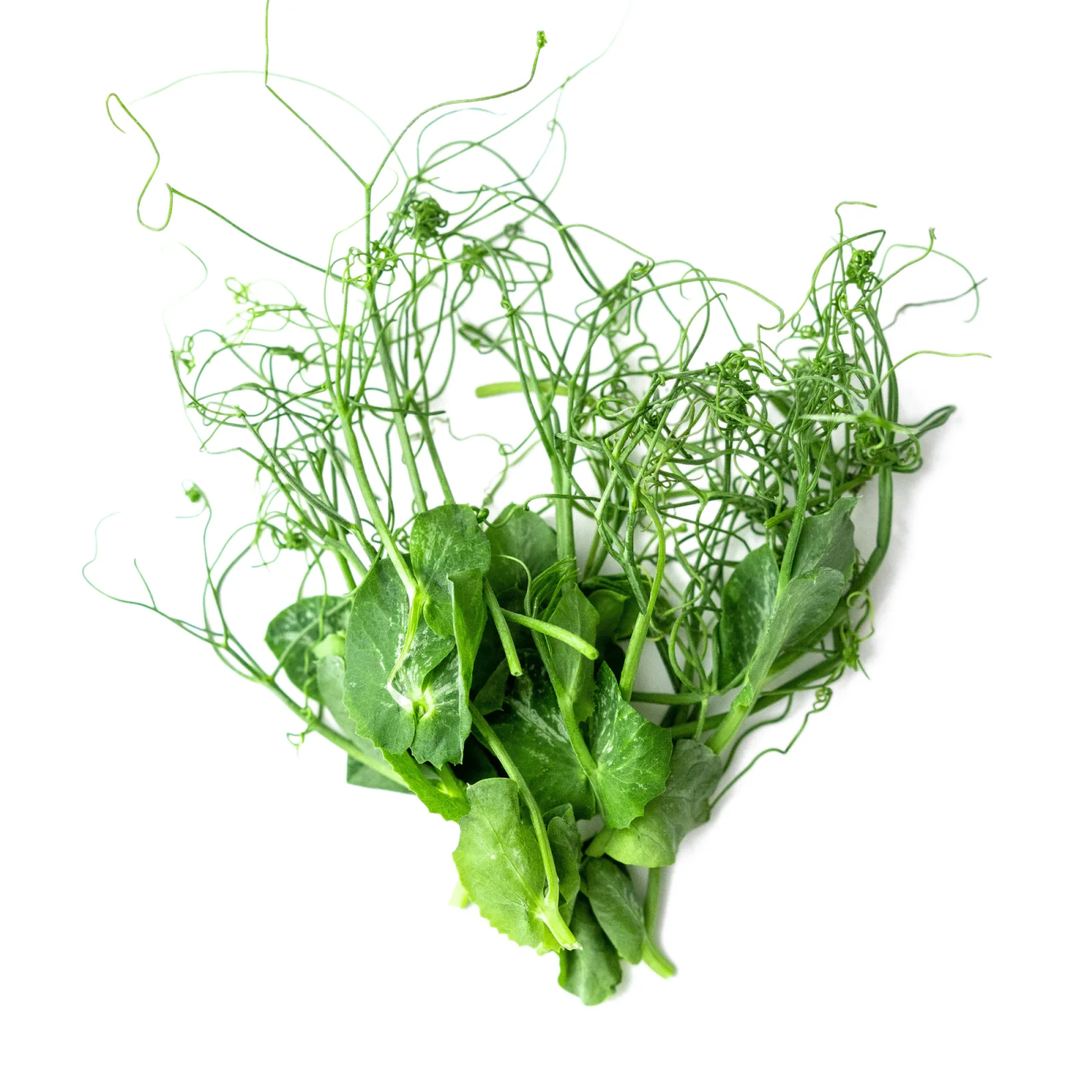 Pea shoots pack